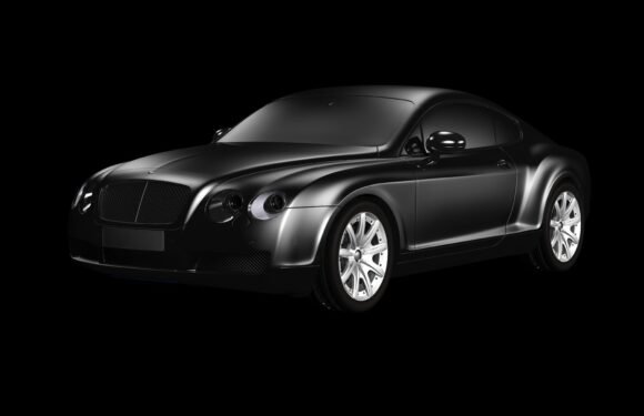 printing and typesetting industry.